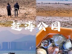 -巽寮湾
