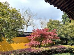 -北寺塔