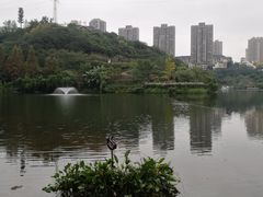 -重庆彩云湖湿地公园