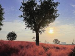 -汉长安城未央宫国家考古遗址公园