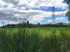 -永定河休闲森林公园