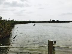-盐城丹顶鹤湿地生态旅游区