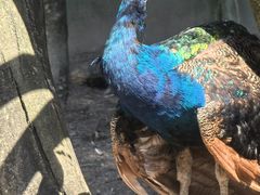 -昆明动物园