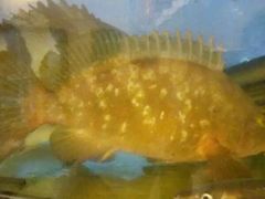 -合家小菜餐馆(新诚花苑店)