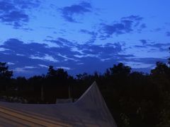 -爪吧宠物乐园 (温榆河示范区店)