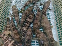 -乐兴海鲜餐厅