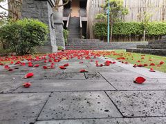 -广州从化都喜泰丽度假温泉酒店