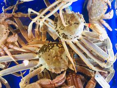 -蟹道乐(道顿堀本店)