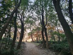 -虞山风景区