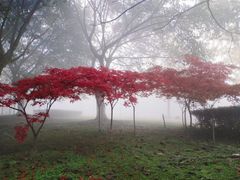 -四川大学(江安校区)