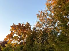 -济南国际园博园