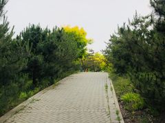 -东郊湿地公园