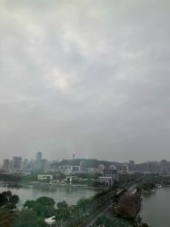 -臻康乃馨月子中心(凯宾斯基店)