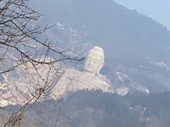 -蒙山大佛景区
