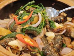 生啫黄鳝-永記粤菜·五指毛桃花雕鸡煲(九亭店)