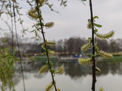 -上海辰山植物园