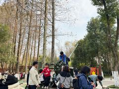 -青龙山国家森林公园