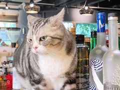 -咖法森林·咖啡  酒吧(天河店)