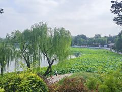 -郭守敬纪念馆