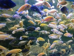 -沙沙哗啦海洋馆(华宇百花谷店)