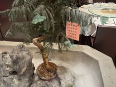 -宝园酒家(美林M·LIVE天地东座店)