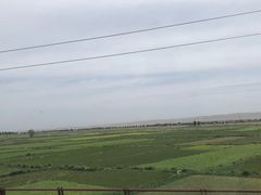 -德禄酸奶(莫家街店)