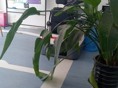 -小昆山驾校·基地自营(松江大学城实体店)