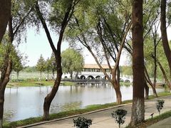 -洪湖生态旅游区