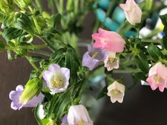 -柳莺湖上·湖景餐厅·江南菜(西湖店)