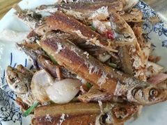 -芦茨金富饭庄·25年老字号·专做稻草鸡