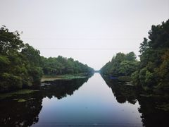 -上海海湾国家森林公园