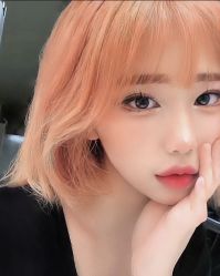 -木北造型