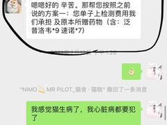-飞行喵MR PILOT|猫舍·猫咖(静安大融城店)