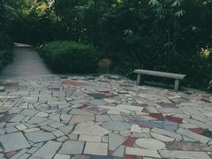 -大屏嶂森林公园