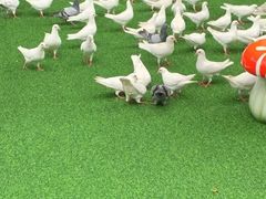 -成都欢乐谷