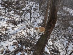 -终南山南五台景区