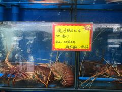 水产区-蚝专家(北滘店)