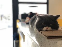 -22cafe