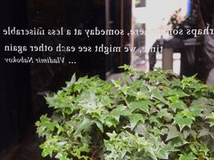 -Ocean's Table 欧舍