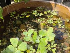 -川匠·睡眠采耳·SPA(九眼桥店)