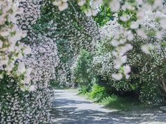 -国家植物园南园