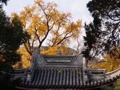 -无锡惠山寺