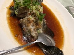 -荣粤酒家·融合粤菜