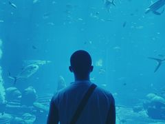 -亚龙湾海底世界
