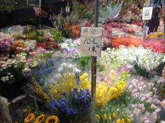 -循礼门鲜花花市(武汉循礼门店)