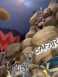 点击看大图 -卡通尼·Safari非洲探索乐园·生日会(金桥国际商业广场店)