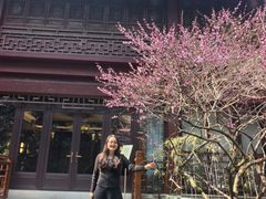 -十八棵（老龙井）御茶园(老龙井店)