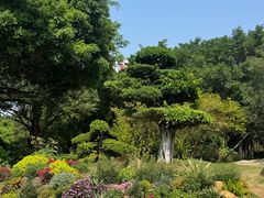 -南宁南湖公园