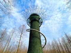 -黄海国家森林公园