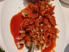 松鼠桂鱼-洋洋中餐馆·SINCE 1997(信投店)